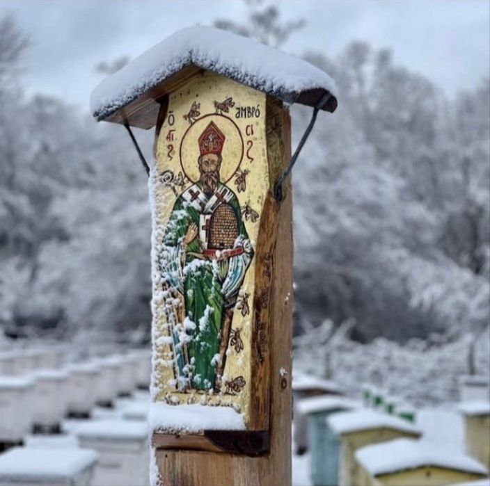 Miod nektarowy - leśny                           2 x sloik 1250g/900ml