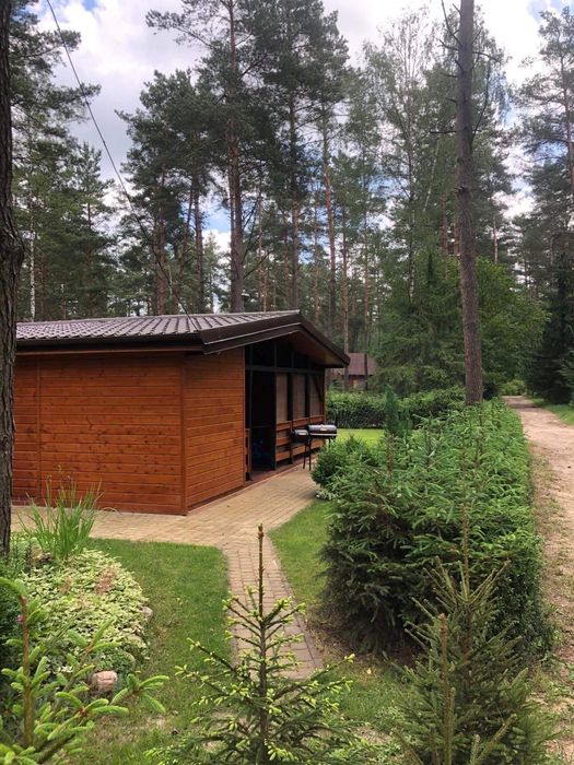 Domek do wynajęcia   Ostroda - Rus Mała