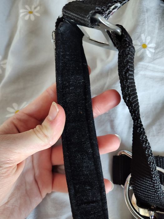 Kantar pony w jednorożce