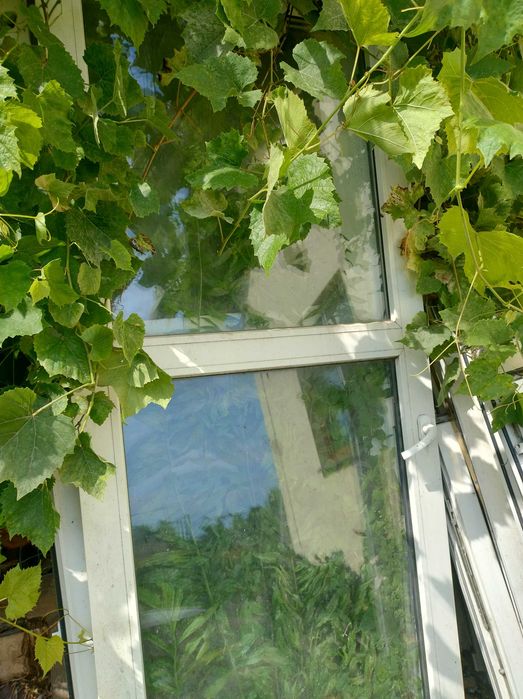 Okna plastikowe po wymianie,nieuszkodzone