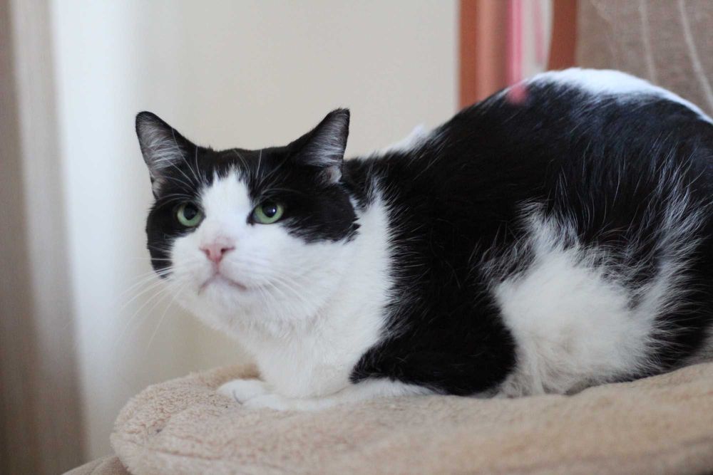 Izydor jest już gotowy na podróż życia, może właśnie z Tobą?