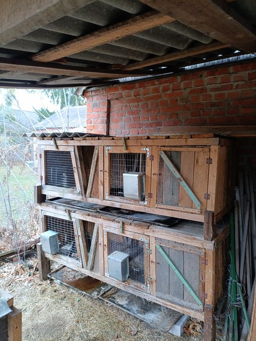 Клетки для кроликов