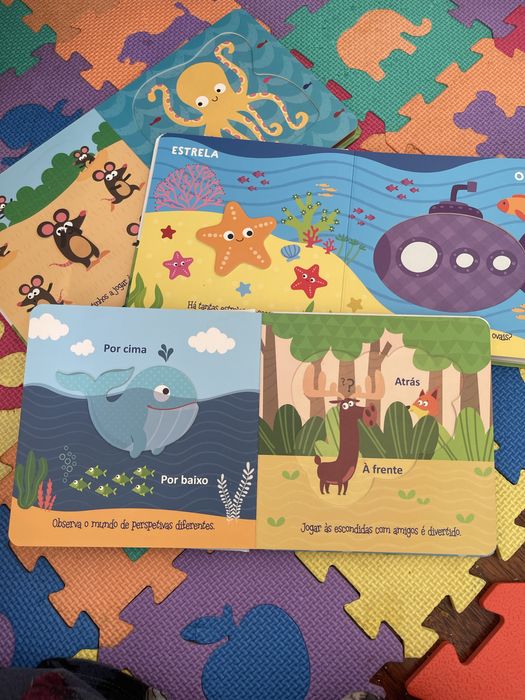 Livros coleção “em relevo”