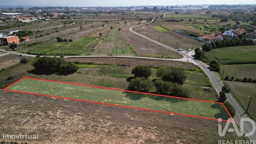 Terreno Agrícola em Cacia