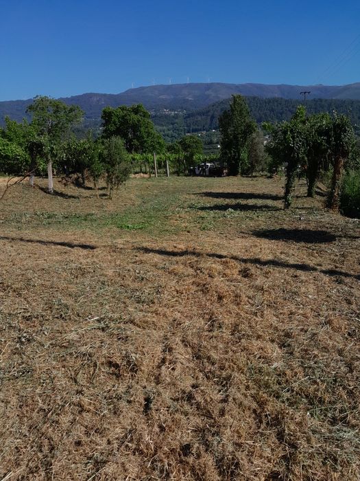 Limpeza de terrenos