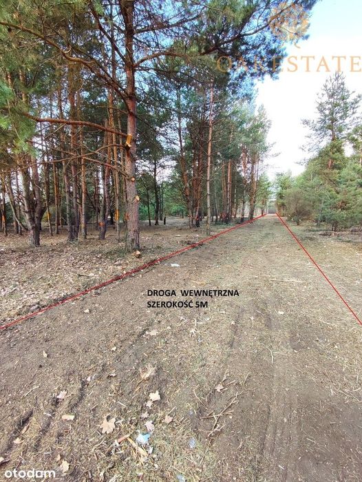 działki 1100 m2, cisza i zieleń
