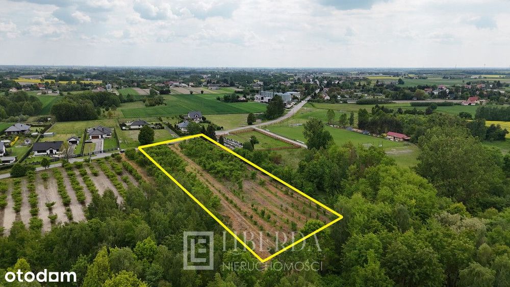 Działka na sprzedaż - Ludwin - 8600 m2