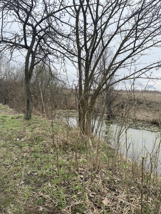 Продам земельну ділянку