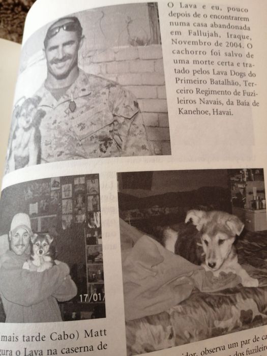 De Bagdade, com amor...64738398984449121