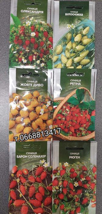 Семена земляники клубники Ремонтантные сорта Регина Ананасная Али баба