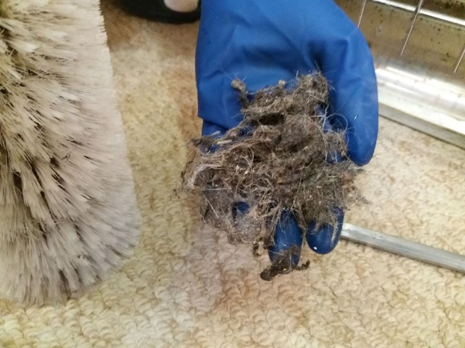 Не Агенство! Химчистка мебели дивана матраса ковров ковролина КЛИНИНГ