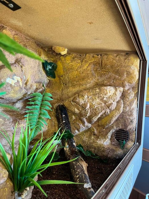 Terrarium szklane z wyposażeniem