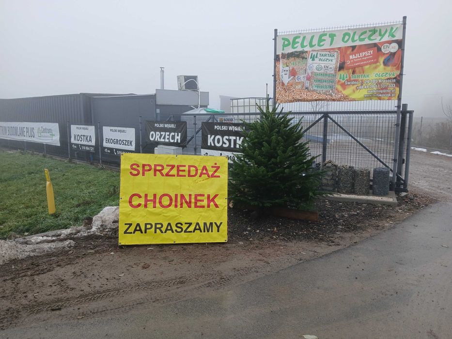 Choinki na święta – duży wybór, super ceny!