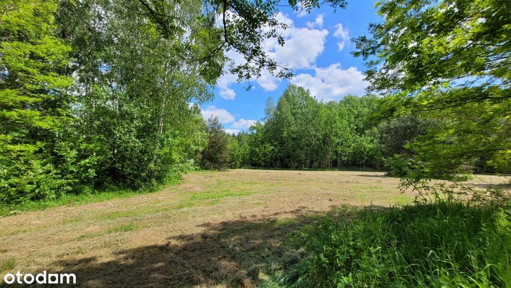 Duża Działka Z Mpzp