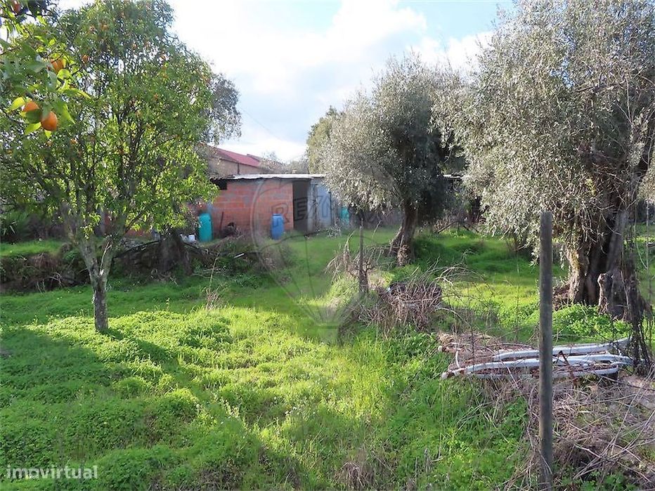 Quinta  para venda — Aldeia de Santa Margarida, Castelo Branco