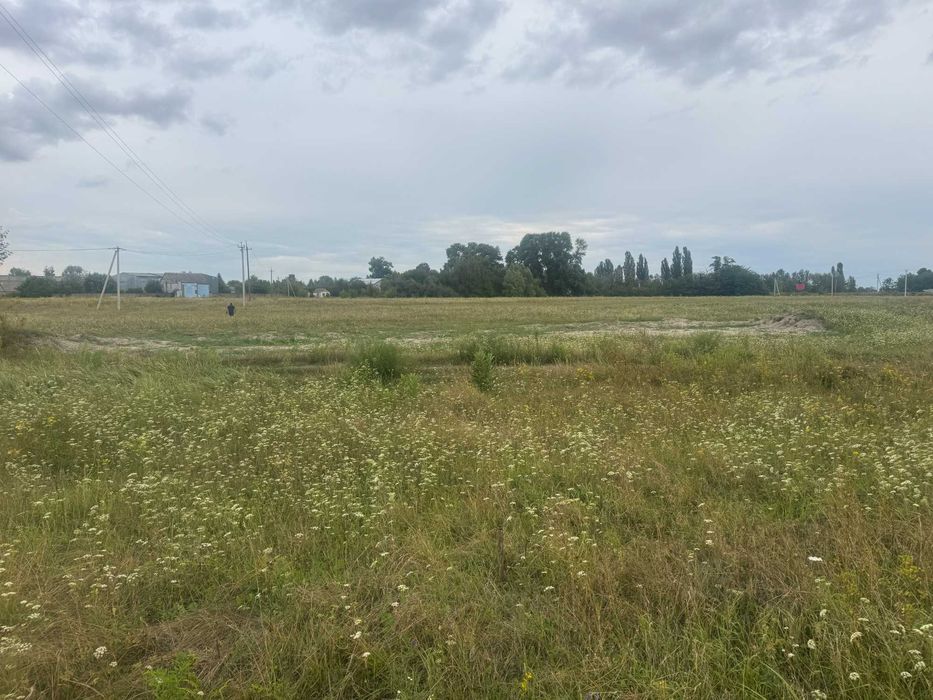 Продам 16 соток, під забудову, с. Гоголів