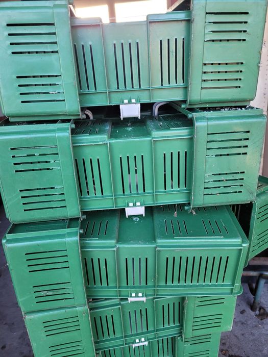 Łubianki, koszyczki plastikowe do owoców.