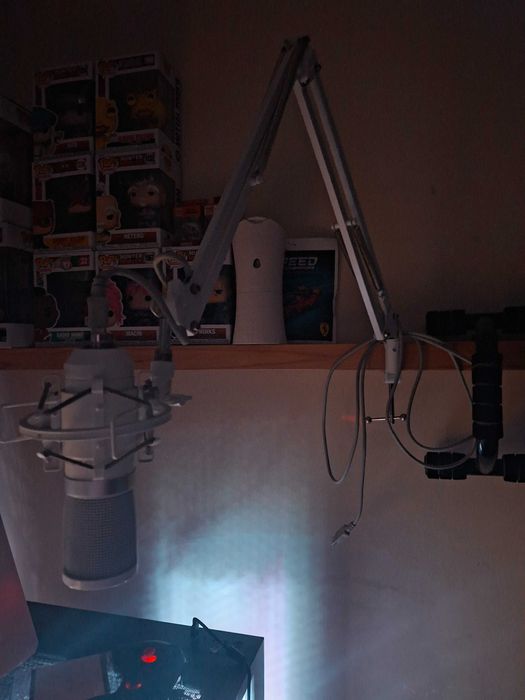 Mikrofon endorfy