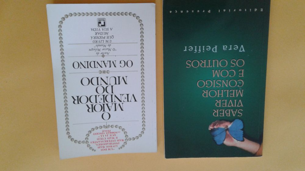 Livros de autoajuda ( O livro da alma, O Segredo etc)
