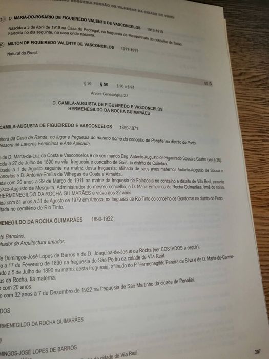 Livro sobre árvore Genealógica família Viseu