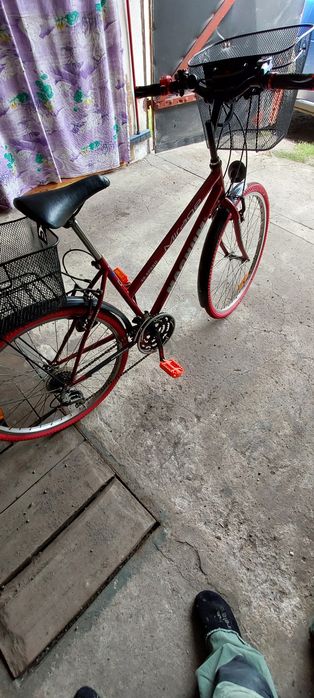 ROWER Damski MAGNUM Mitsge