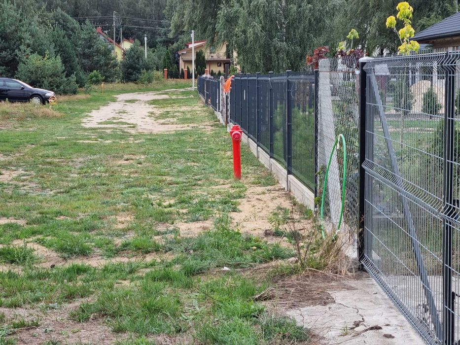 Zdjęcie 2