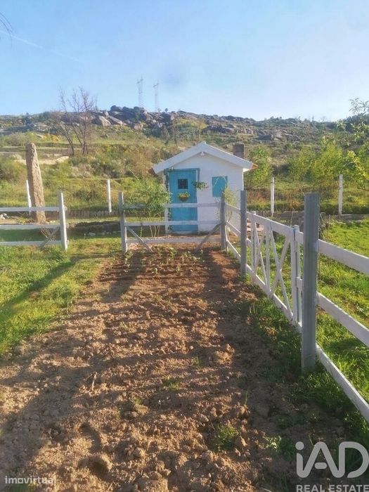 Terreno em Oliveira do Hospital e São Paio de Gramaços