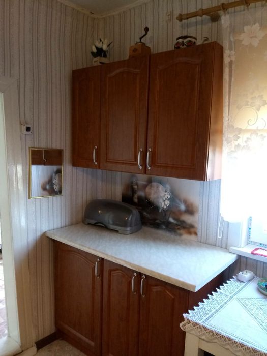 Будинок з земельною ділянкою 25 соток та 19 соток  Зносичі