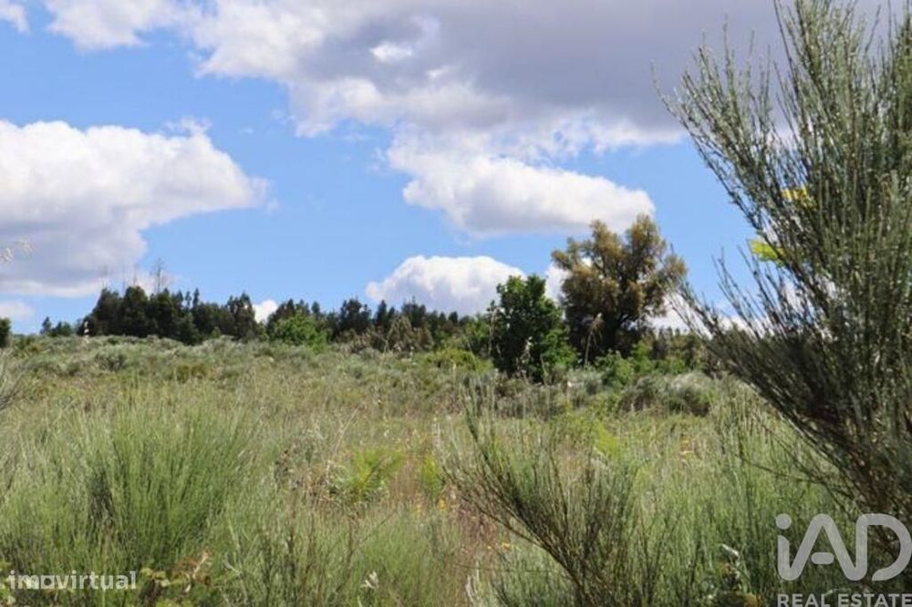 Terreno para construção em Seixo da Beira de 48000,00 m2