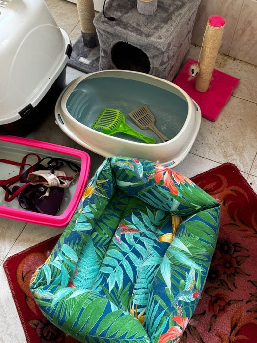 Kit para Gatos, poco uso, vendo por cambio de país