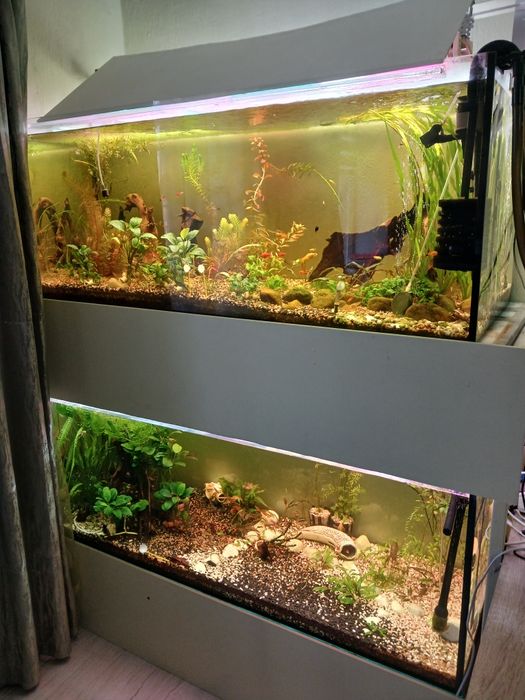 2 акваріума по 460 літрів, з стілажем.