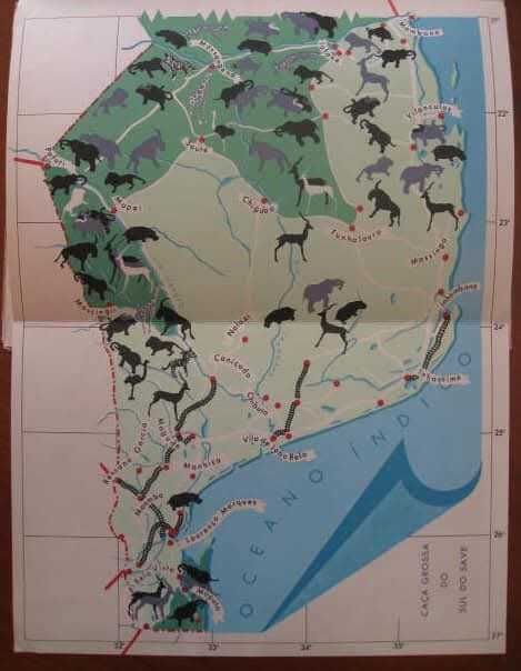 CAÇA EM MOÇAMBIQUE - Porto 1952 Muito Raro