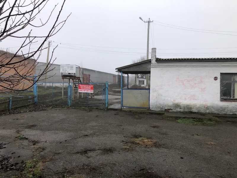 Майно птахофабрики, 48392 кв. м, вул. Кооперативна, 10А
