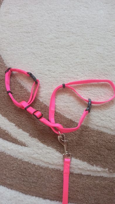 Поводок- шлейка для котиків і маленьких собак