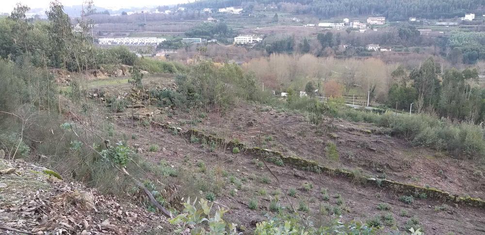 Penafiel-Terreno para construção com 5712m2 próximo parque cidade