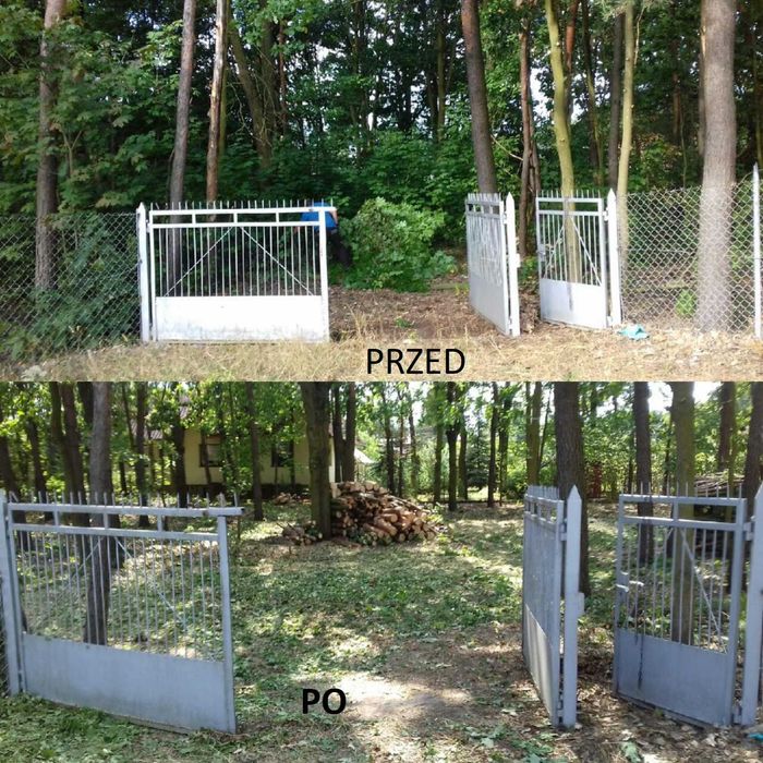 Wycinka Drzew Pielęgnacja Ogrodów