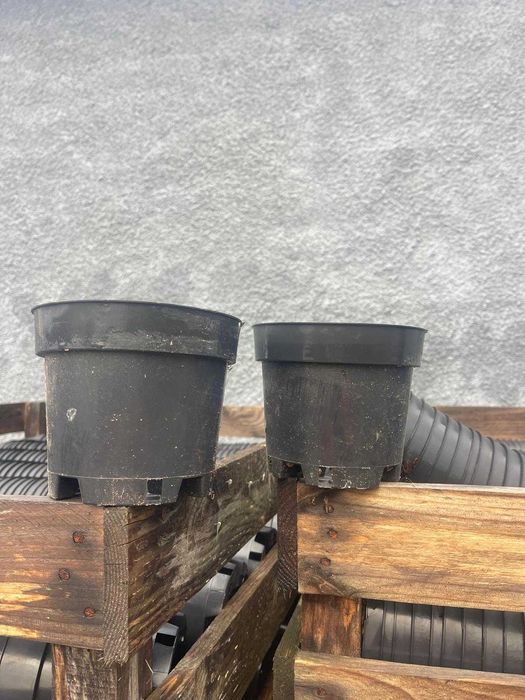 Vasos plastico 1.5lt