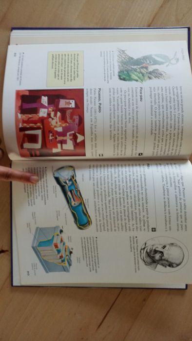 Livro Enciclopédia escolar everest