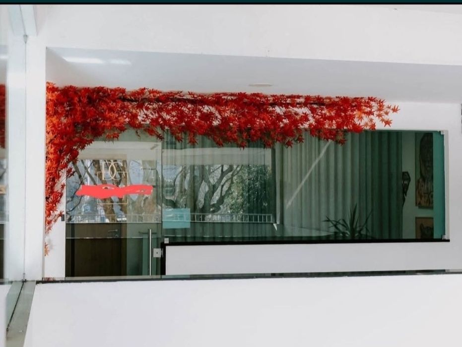 Aluguer Gabinete Sala Estética Completo