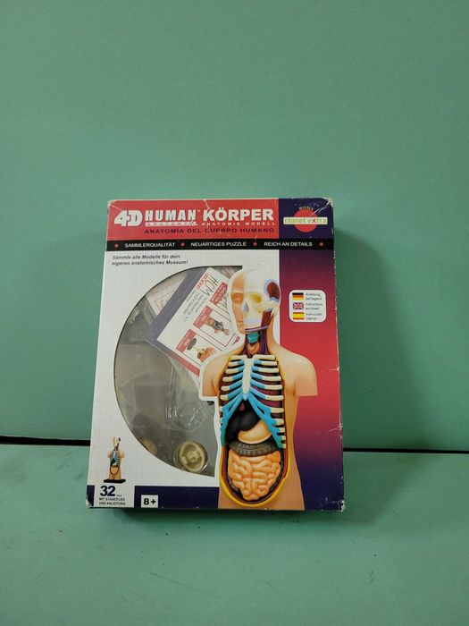 Kit educativo Corpo Humano 4D – anatomia para montar