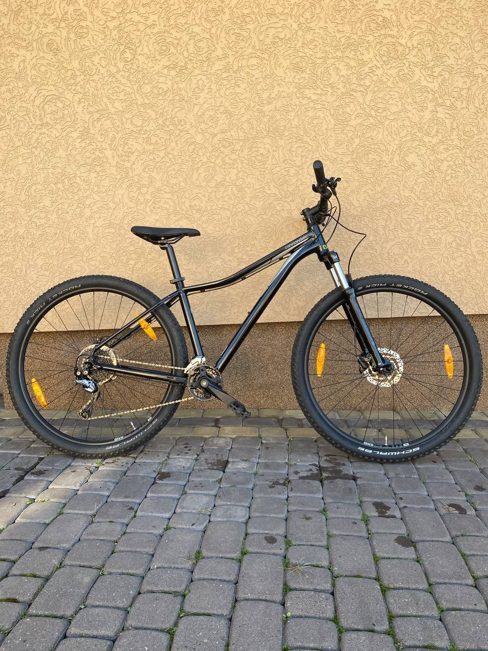 Trail 2024 tango 4
