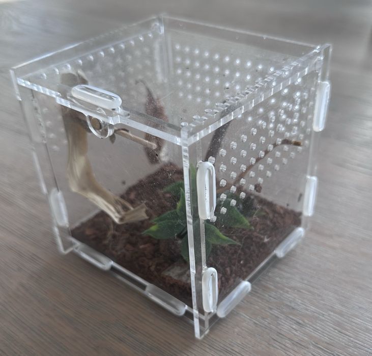 Terrarium 10x10x10cm