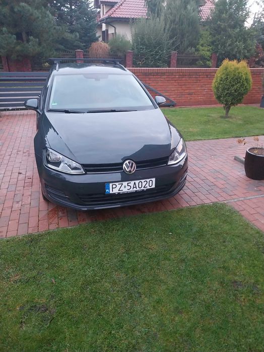 volkswagen golf 7, 4motion, 1,6 tdi, bezwypadkowy