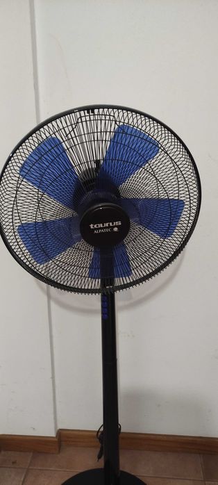 Ventoinha Taurus BOREAL 16C ELEGANCE