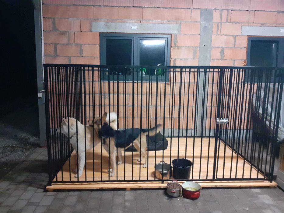 Kojce Boxy dla psów Spawane Montaż Dostawa