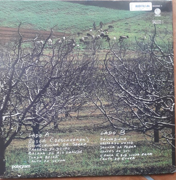 Rão Kyao -  Viagens na Minha Terra, vinil