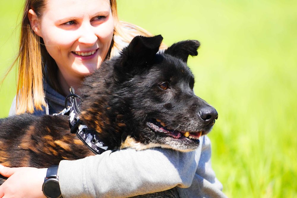 Ciacho - duży fajny pies szuka rodziny