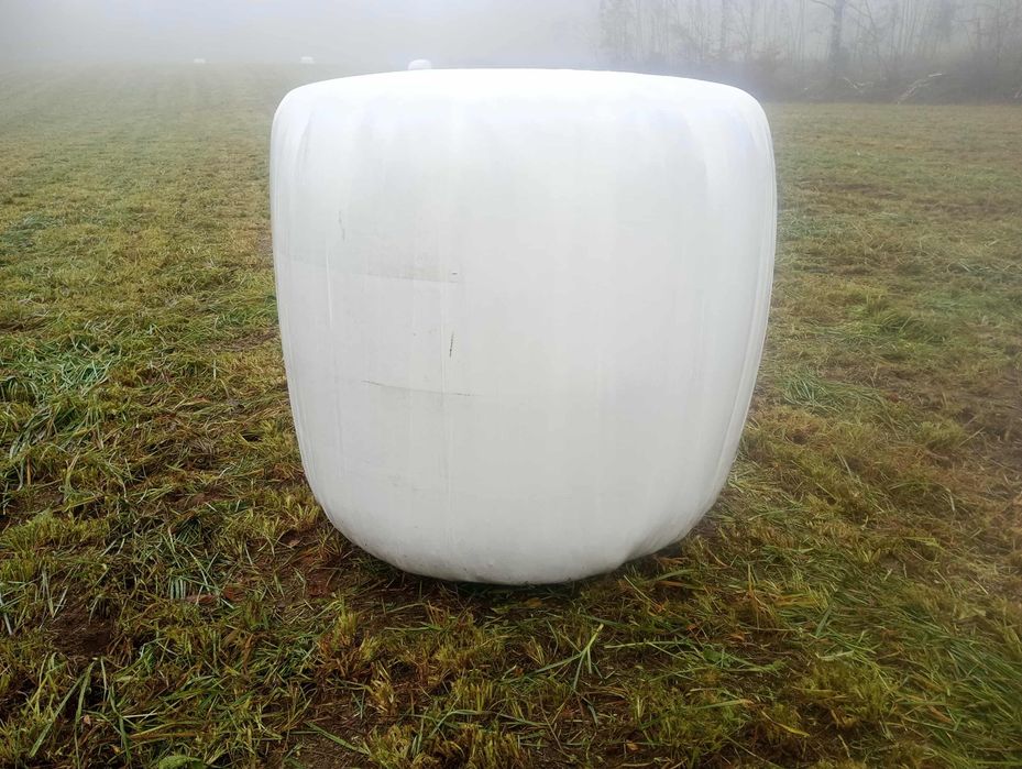 Sianokiszonka dla bydła