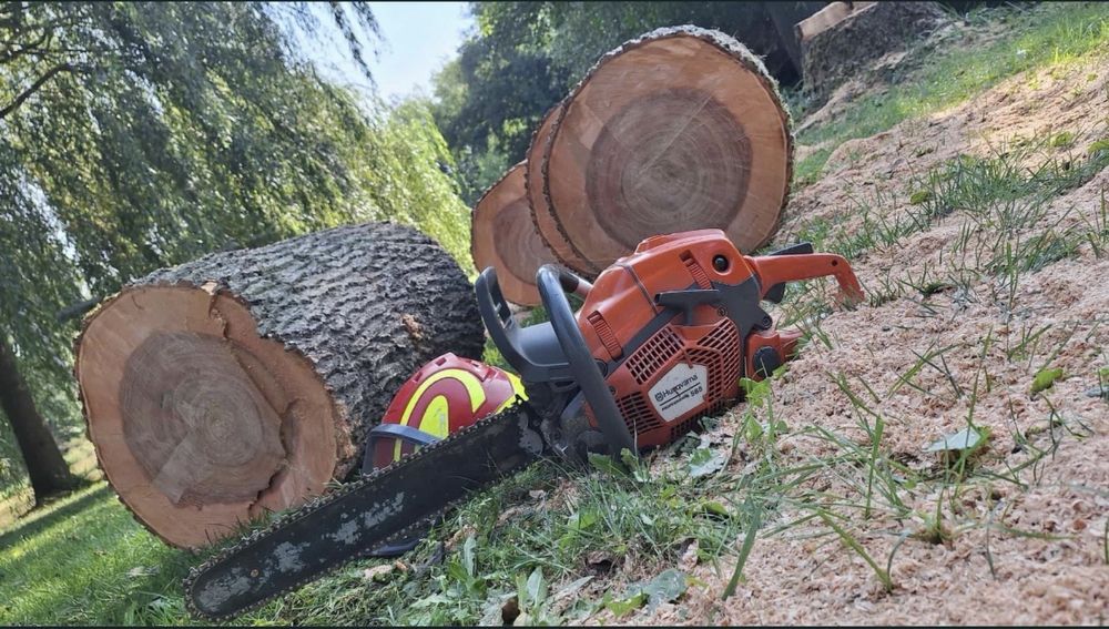 Wycinka drzew /Rębak /Frezwoanie Pni