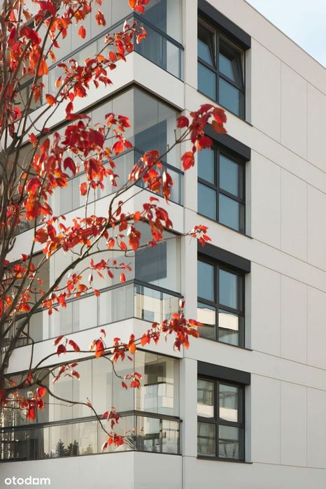 3-pokojowe mieszkanie 56m2 + taras Bez Pośredników